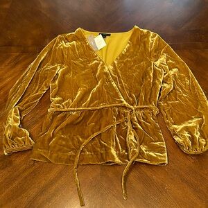 NWT Velvety Plunge Neck